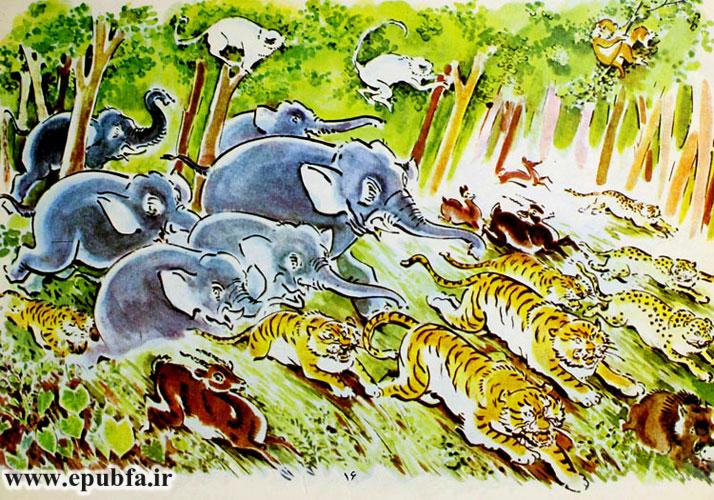 گاوها، گاومیشها، پلنگها، ببرها، فیلها و بقیۀ حیوانات با سرعت به این مسابقۀ بزرگ پیوستند